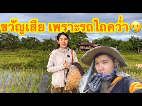 ผลสลากกินแบ่งรัฐบาล วันที่ 1 พย. 2567