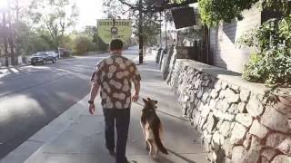 Matt's Story: What I Have Found Here