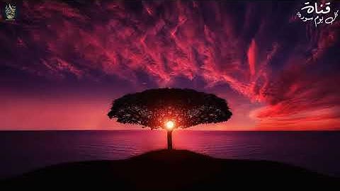 سورة مريم كاملة تلاوة جميلة جدا اجمل نبرة صوت عراقيه  سبحان من رزقه هذا الصوت Surah Maryam