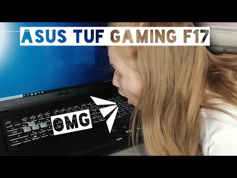 ASUS TUF GAMING F17 FX706LI-HX175 / РАСПАКОВКА 💜🐩