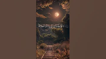 خواتيم سورة البقرة بصوت الشيخ ماهر المعيقلي 