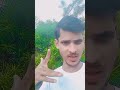 @Dusmanwa || rangdari# song# rangdari gana