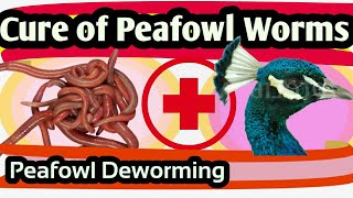 Worms in Peafowl. Peafowl Worming. Worming Cure in Peafowl. Treatment of Worms in Peafowl. Deworming