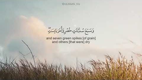 ماتيسر من سورة يوسف بصوت القارئ طارق محمد