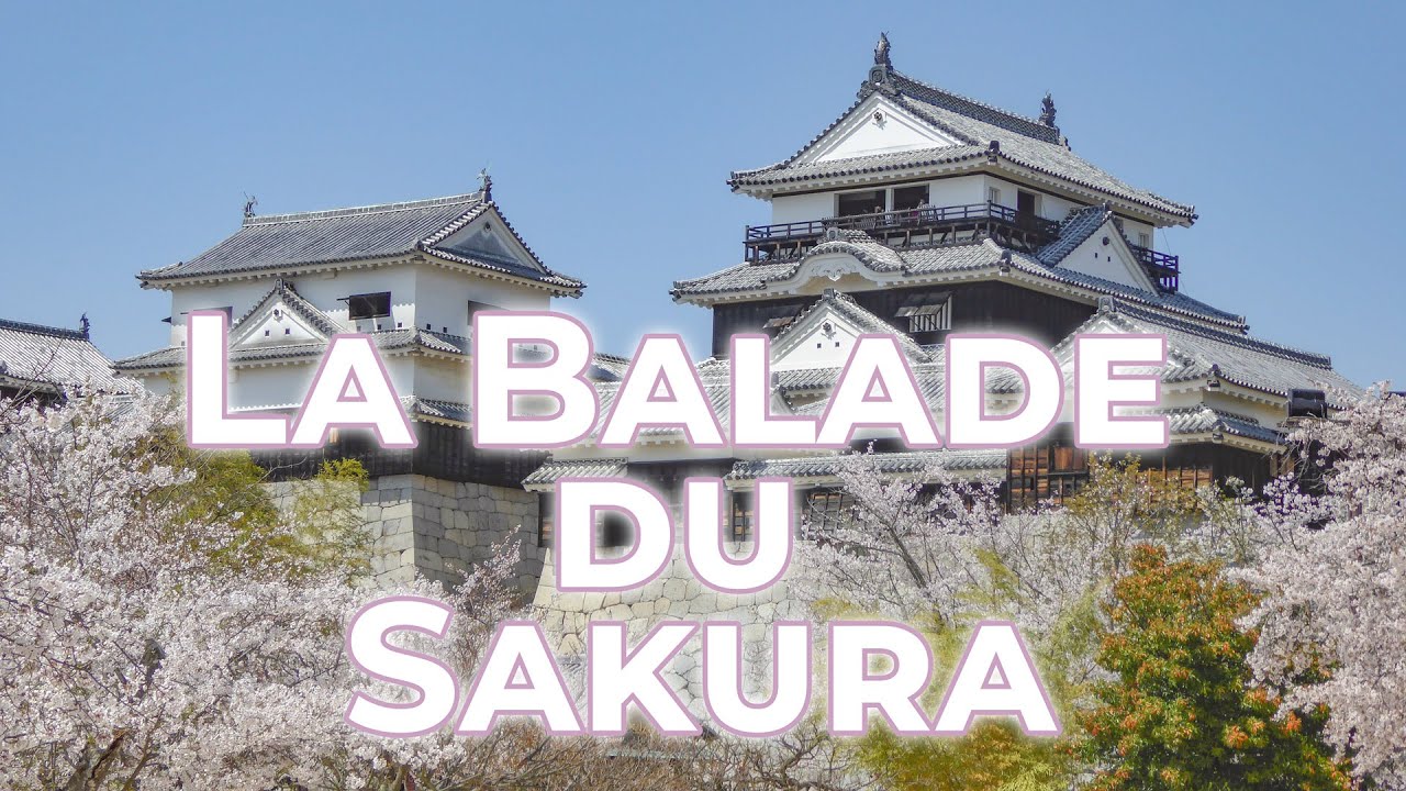 La Balade du Sakura - documentaire Japon sur les châteaux japonais
