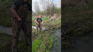beaver dams flooding crops