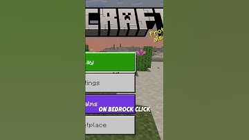 I joined the BEST Minecraft Server #shorts #minecraft yt.justvanilla.net