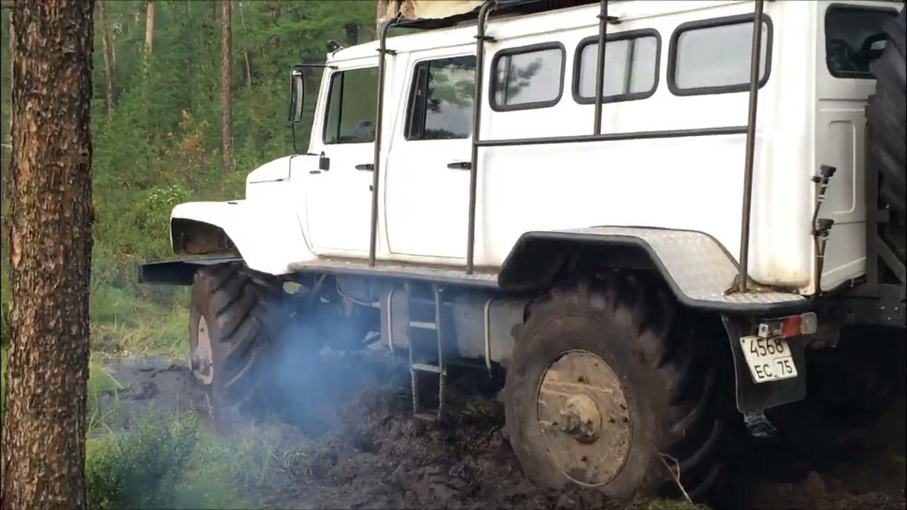 Вездеход хищник 2902 дорожный просвет