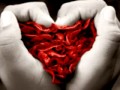 Ven a Vivir Conmigo
