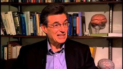 decoding the brain FINAL