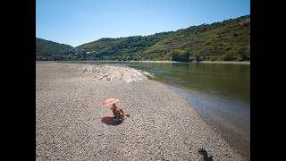 Niedrigwasser im Rhein - Der Fluss leidet unter der Hitze