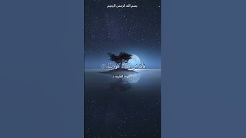#سورة القارعة #القارىء محمد الفقيه