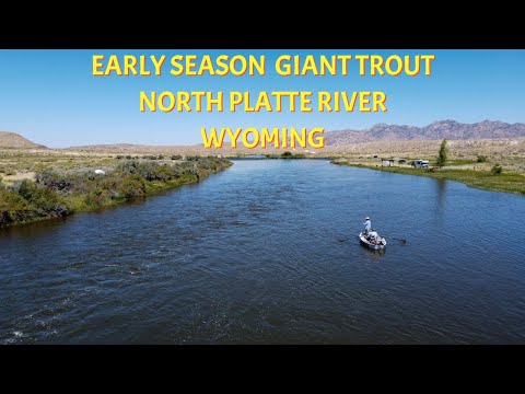 Early Season Giants  North Platte River Wyoming 