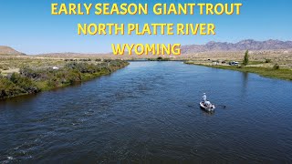 Early Season Giants | North Platte River Wyoming