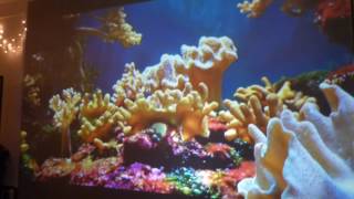 HOW I RELAX USING MY CUSTOM CRYSTAL EDGE TECHNOLOGY PROJECTION SCREEN! screenshot 4