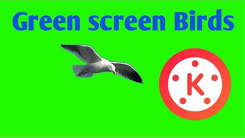 Green screen Birds Flying effect Kinemaster Video editing Motion leap