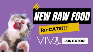 NEW Delicious Raw Food For Cats | with Viva Raw & Pam Roussell | Two Crazy Cat Ladies