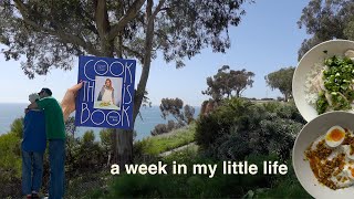 a week in my little life - wholesome week cooking, reading, traveling + feeling inspired again 🦋