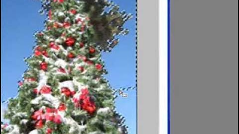 Photoshop - The Magic Wand Tool