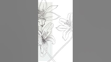 Lilies Procreate Timelapse