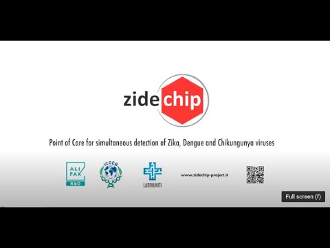 Progetto ZIDECHIP - POR FESR 2014-2020 FVG