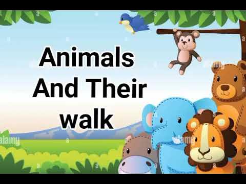 Animals Walk For Kids | Learn Animals Name, Learn How They Walk , Run ,  Jump| Animals And Their Walk - YouTube