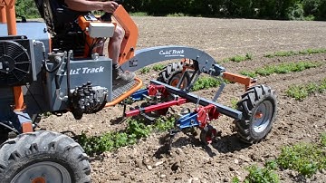 Cultitrack tool carrier weed control on aromatic plants