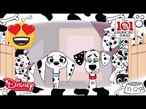 101 Dalmaçyalı Sokağı I Dalmaçyalılar Çöpçatanlık Peşinde 😍 I Disney Channel Türkiye