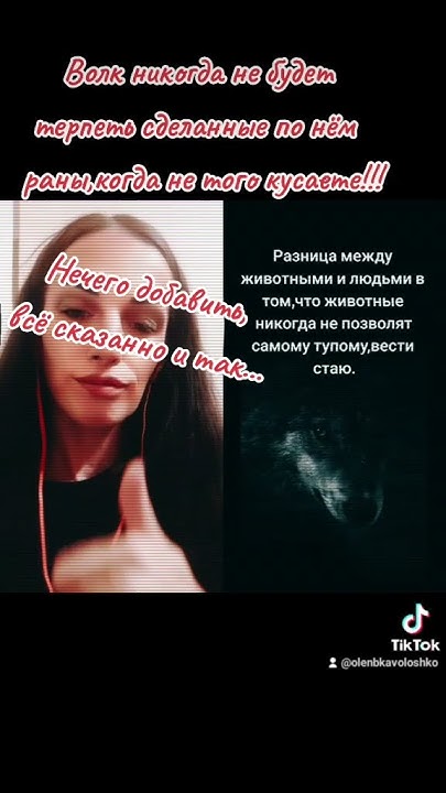 "Про волков"🖐 - YouTube