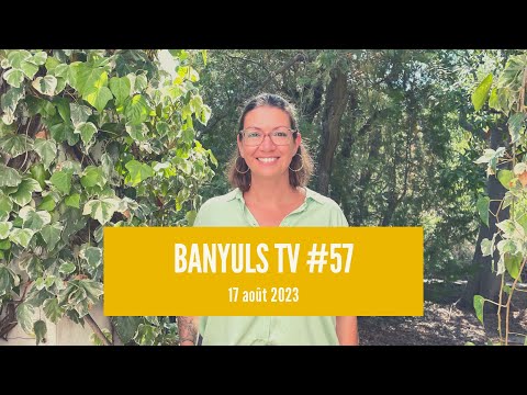 Banyuls TV #57 [17 août 2023]