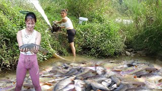 Top Fishing Videos: Fishing exciting - Fishing Technique - Catch a lot of fish | Sell fish at market