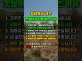 밥 먹을 때마다 옛날 고생한 이야기로 가족들 숨 막히게 하는 시니어의 슬픈 심리와 인정 욕구 달래며 진짜 어른으로 대접받는 뇌 과학적 마음 치유법