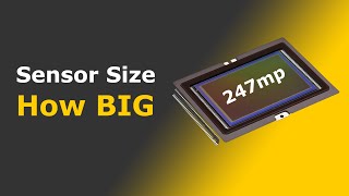 Sensor Size | Why does it matter how BIG?