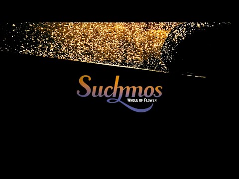 Suchmos Whole Of Flower Lyric Video