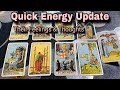 Hindiurdu  quick energy update  their feelings  thoughts  timeless tarot 