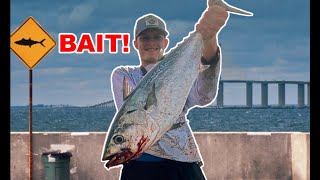 CATCHING FISH ON SKYWAY PIER (HOOKED SOMETHING MASSIVE)