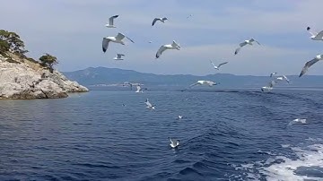 Surah Al-Mu’minun - Ahmad bin Ali Al-Ajmi || سورة المؤمنون - احمد بن علي العجمي