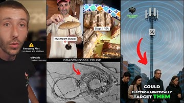 What Are They Putting In The Food