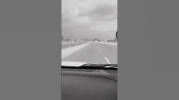 اقلبها بينا يا سواق شوف مش هتندم 