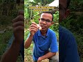 Pake Halco cair ini ga usah ragu bosku,Dijamin super gacor #essen #essenmancing