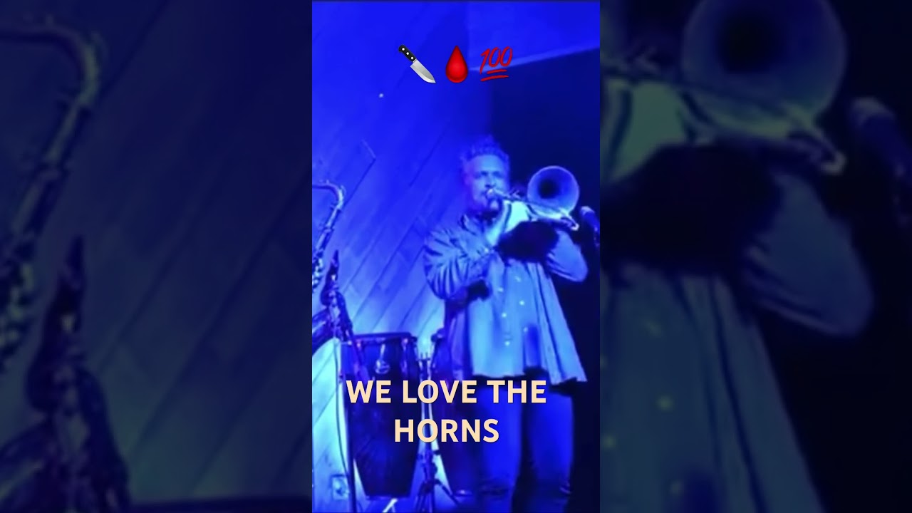 🪮 tf ⬇️ horn squad w Giant Panda Guerilla Dub 