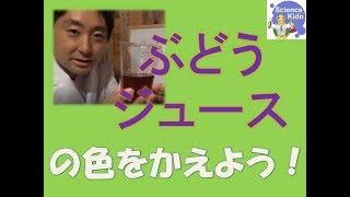 ぶどうジュースの色を変えよう 本編 Youtube