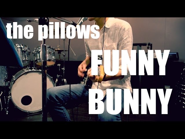 Funny Bunny - the pillows 弾き語りカバー by beco - YouTube