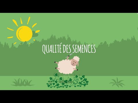 Vidéo: Peut-on répandre des semences de pâturage ?