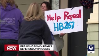 As HB267 referendum effort gains momentum, politics expert breaks down state process