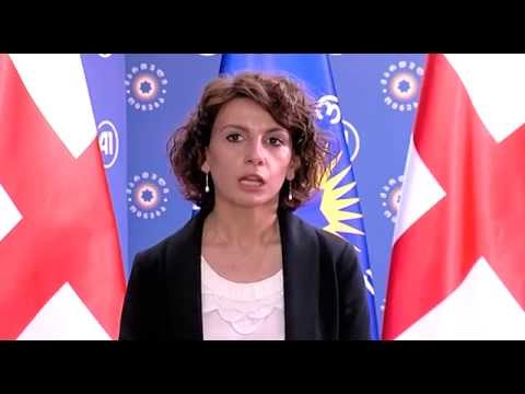 შეხვედრა ეუთოს წარმომადგენლებთან