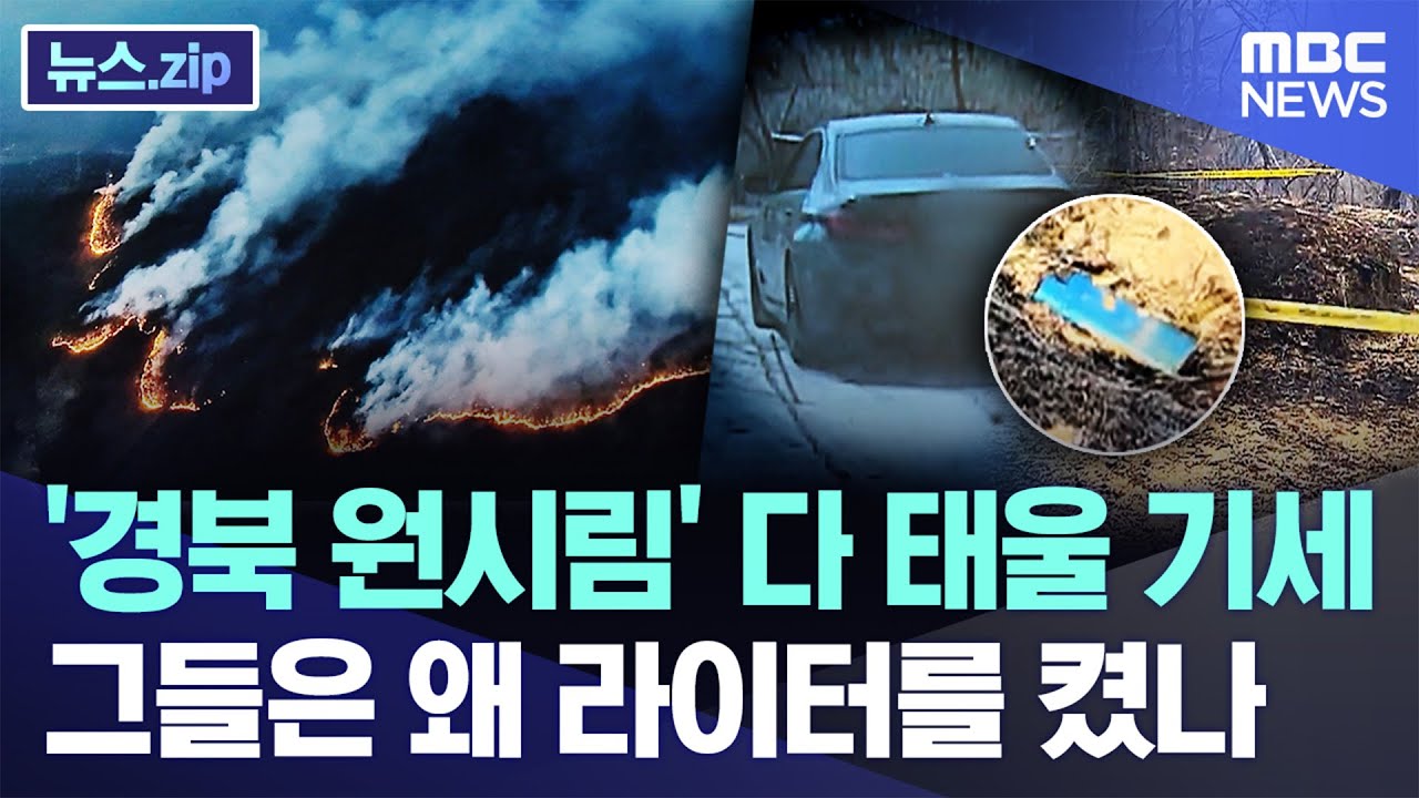 '경북 원시림' 다 태울 기세..그들은 왜 라이터를 켰나 [뉴스.zip/MBC뉴스]