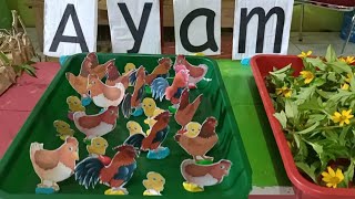 Bermain Loose Part - Membuat Kandang Ayam #TemaBinatang #ayam #anakpaud #anakhebat