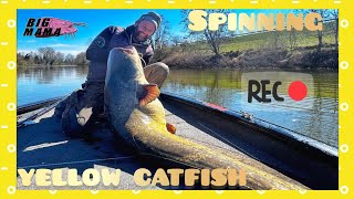 Big YELLOW CATFISH with light Spinning rod by Yuri Grisendi by Catfish World by Yuri Grisendi 57,467 views 3 months ago 6 minutes, 51 seconds