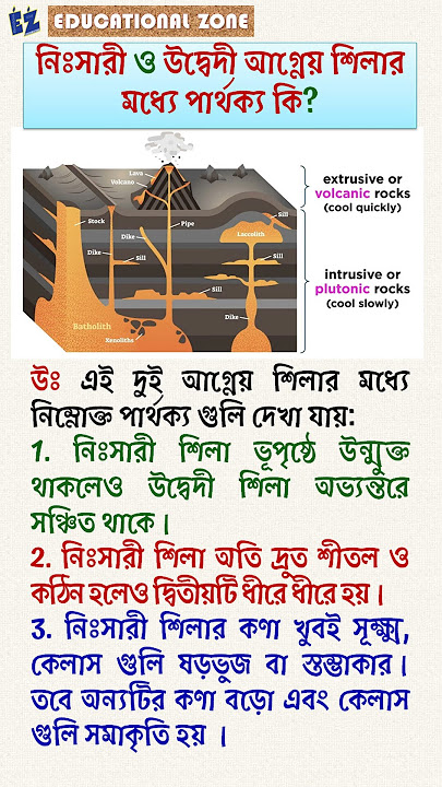 Xotinini qarzi uchun berdi seks video